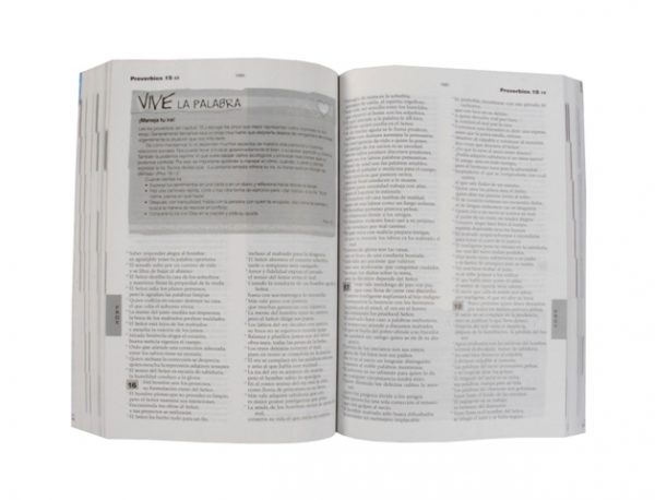 Biblia Católica para Jóvenes rústica / blanco y negro s/i-384