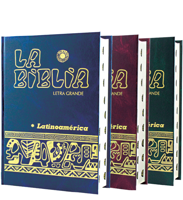 BL Grande Cartoné, colores varios, c/i - Imagen 4