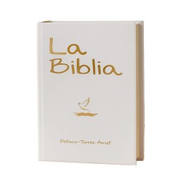 Biblia Petisco-Torres Amat